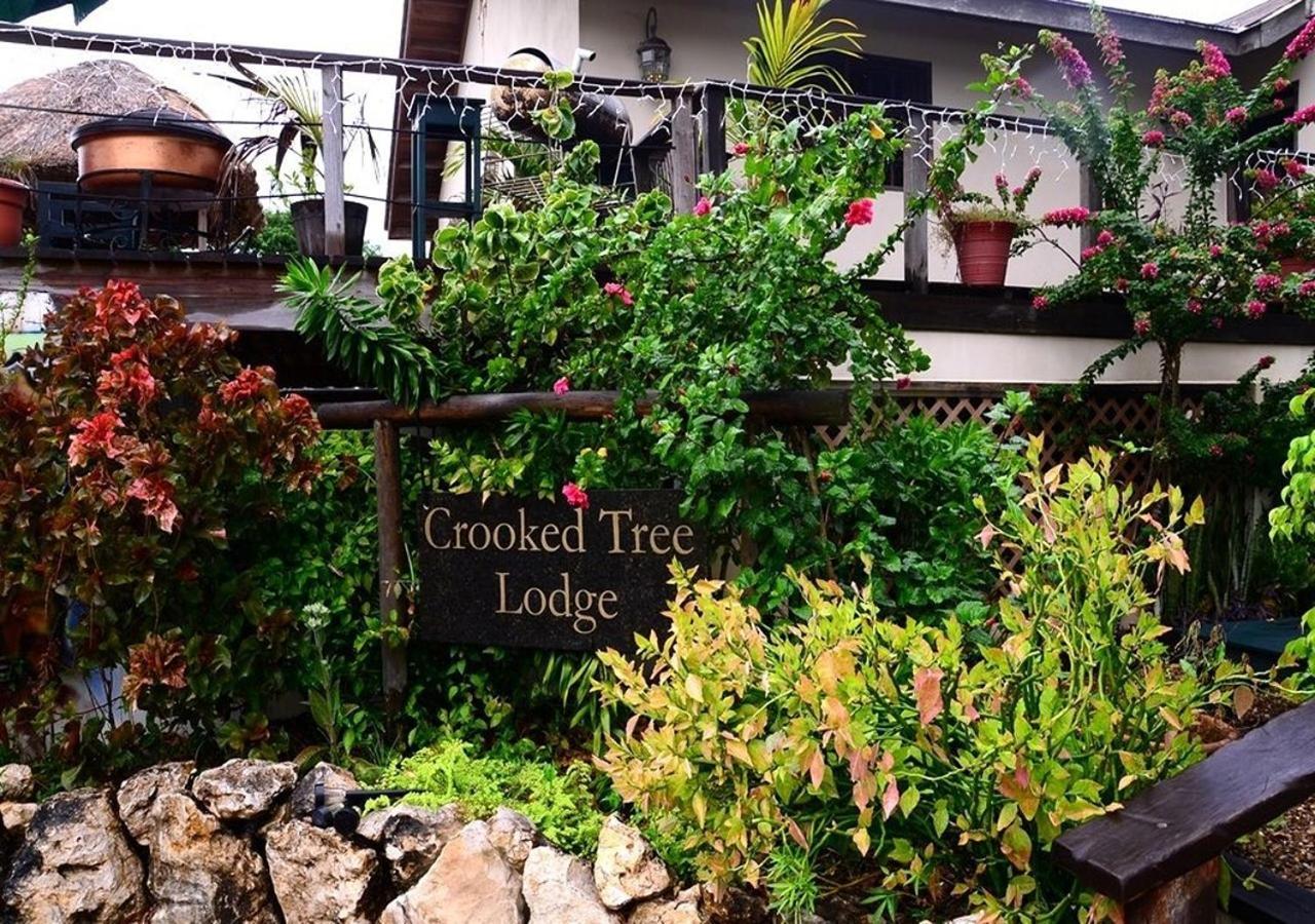 Crooкed Tree Lodge Belize Crooked Tree Zewnętrze zdjęcie